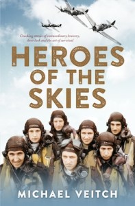 Heroesoftheskies_small